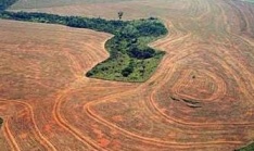 A deforestación avanza imparábel no Amazonas