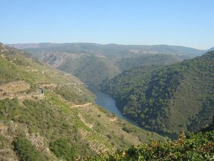 A Ribeira Sacra, berce do viño de Amandi. / Foto: Oteo